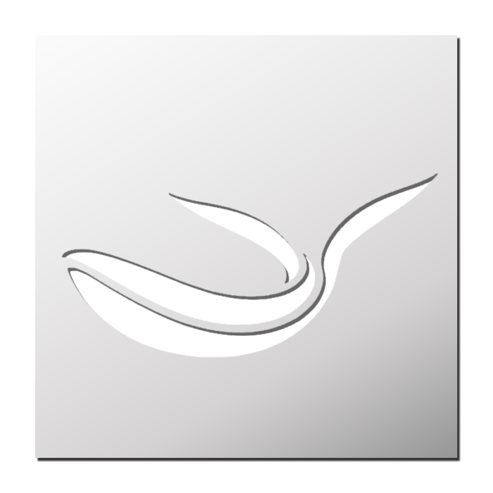 Pochoir Baleine