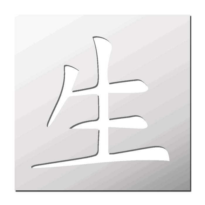 Pochoir Signe Chinois Vie