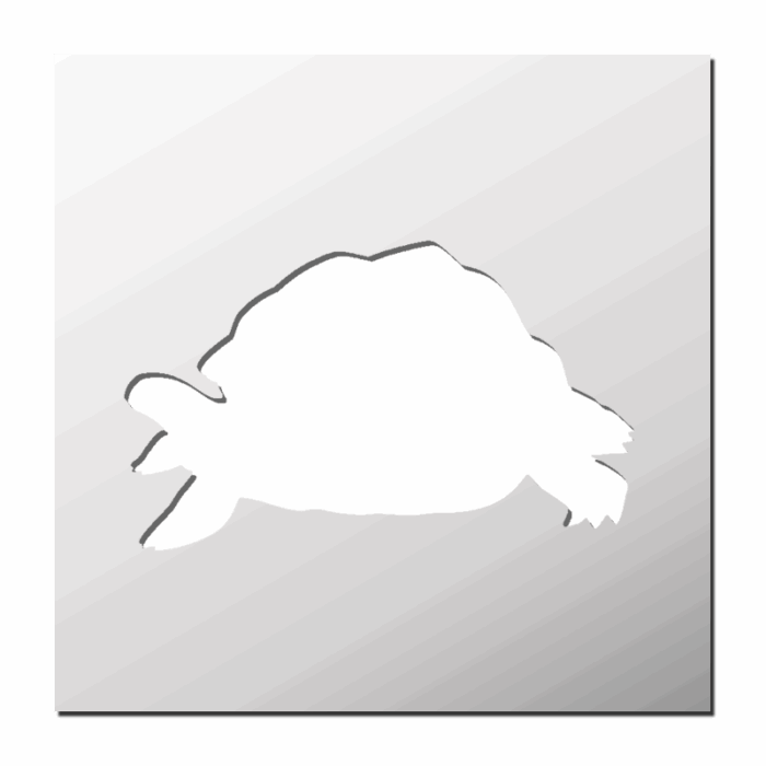 Pochoir Tortue